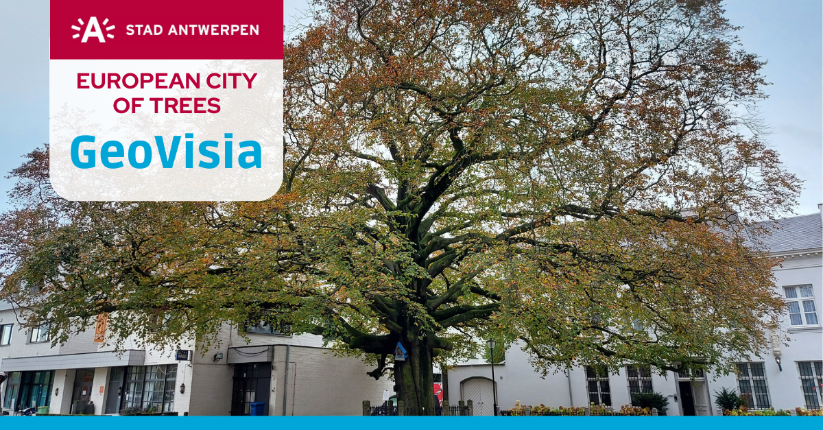 Antwerpen City of trees met GeoVisia